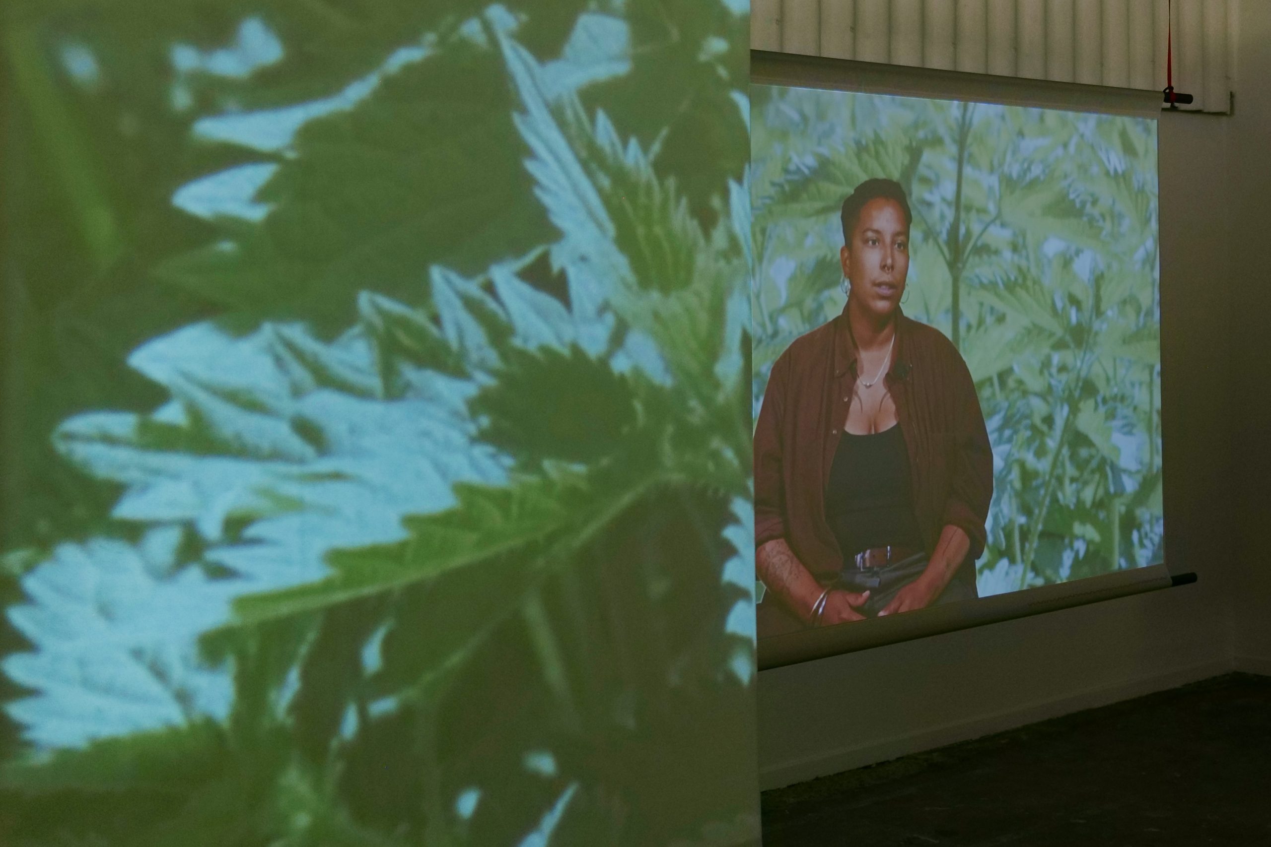 Tryptique, oeuvre de Bonella Holloway